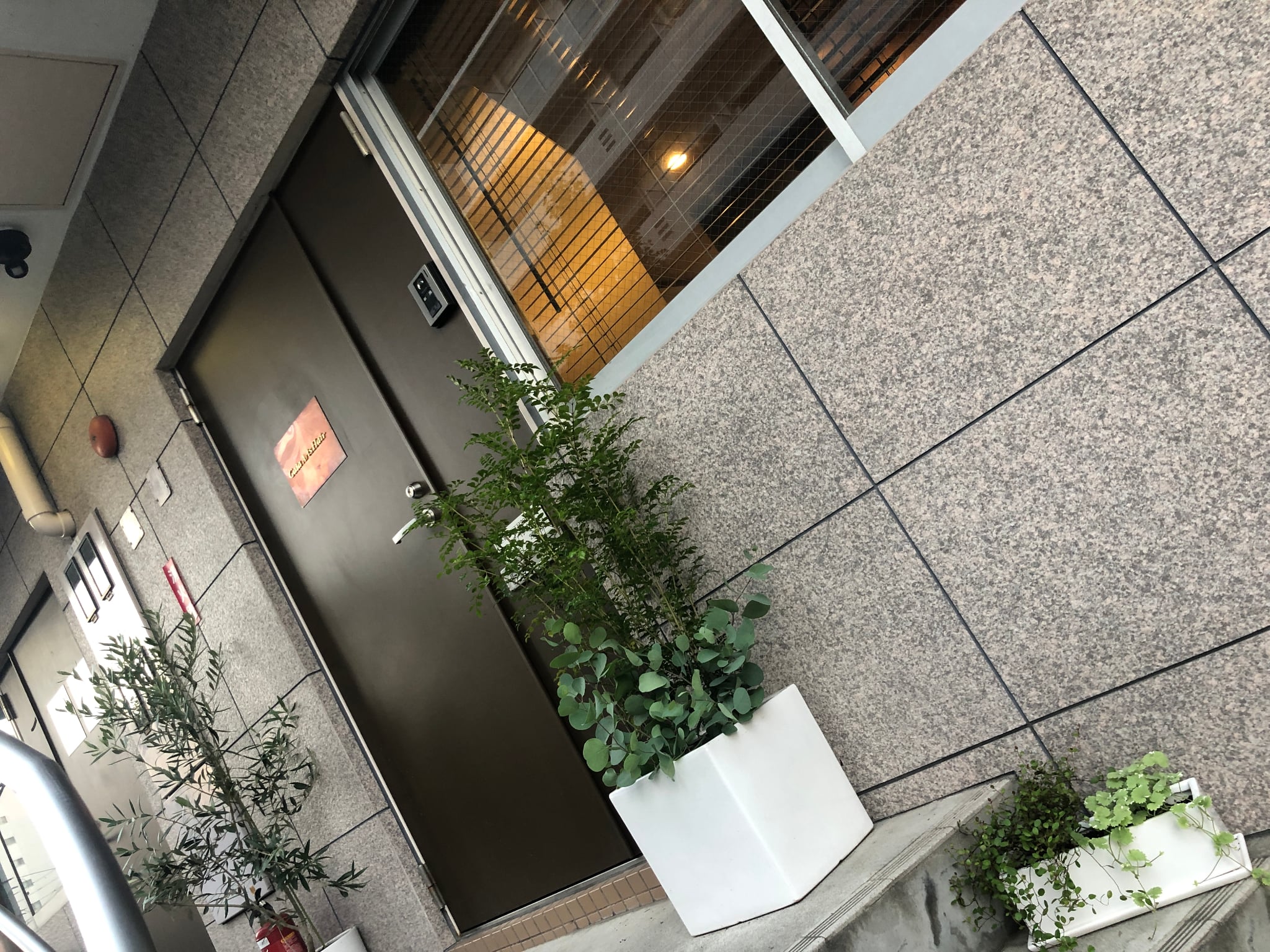 施術例 4